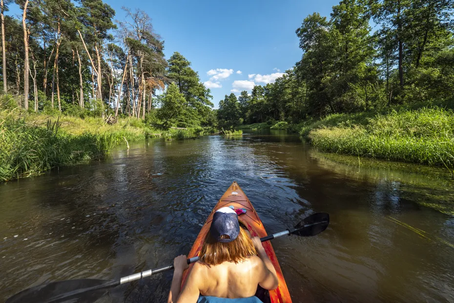 Zdjęcie Spływ kajakowy Pilicą: Trasy, Noclegi i Praktyczny Przewodnik