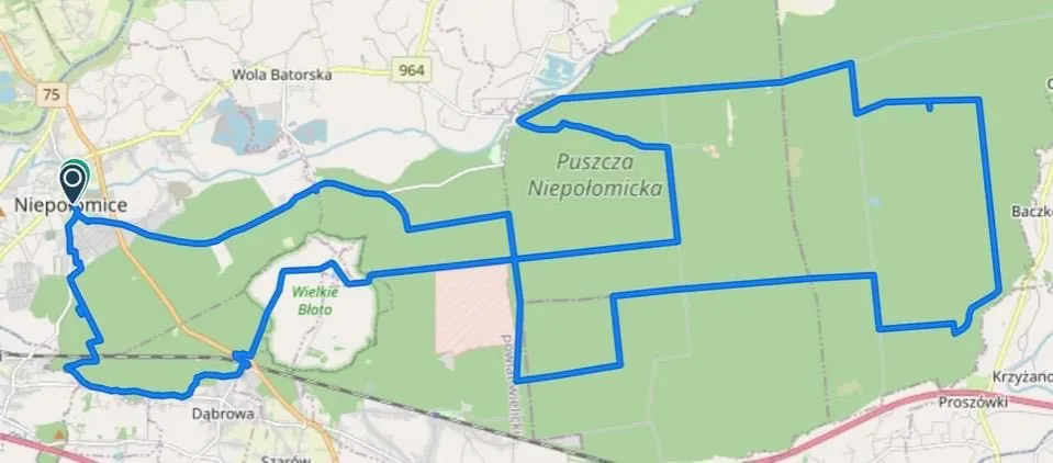 Zdjęcie Puszcza Niepołomicka trasy rowerowe mapa – odkryj najlepsze szlaki