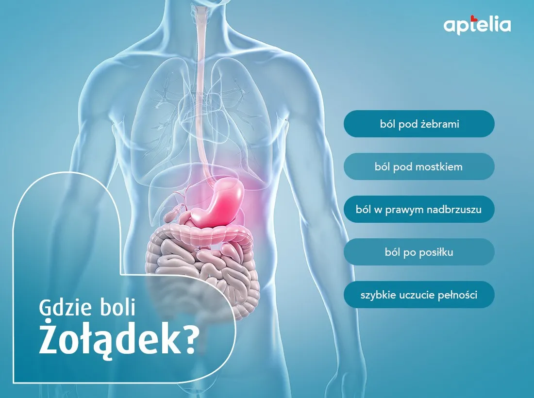 Zdjęcie Co na ból żołądka w ciąży? Skuteczne metody łagodzenia dolegliwości