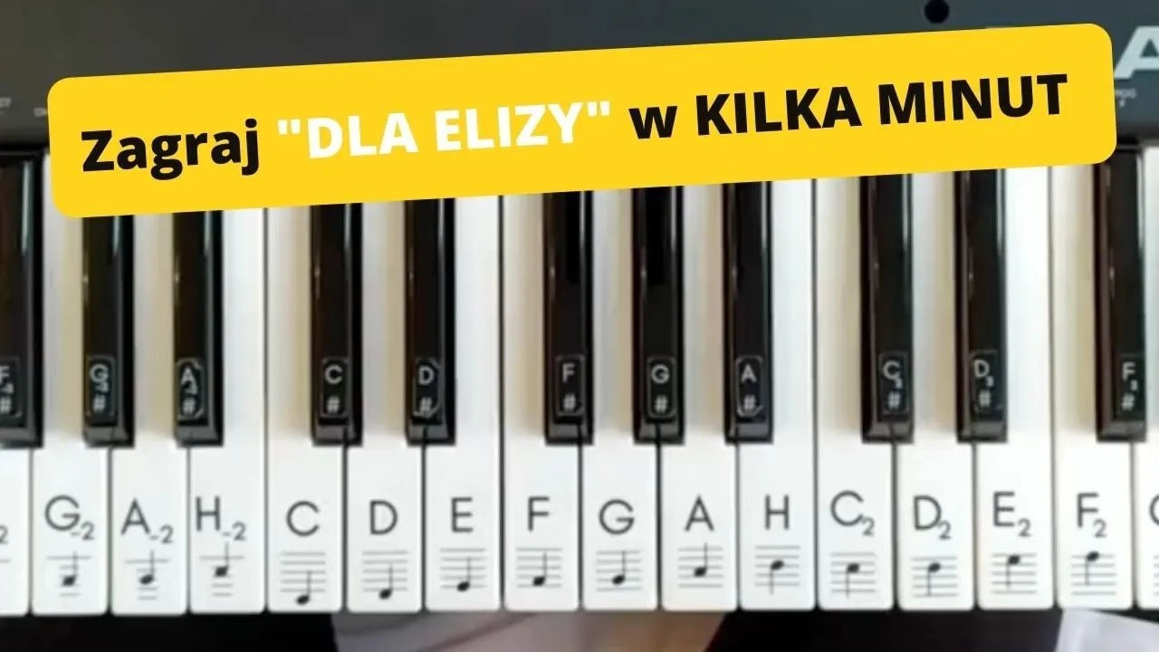 Zdjęcie Jak zagrać na pianinie dla Elizy - proste kroki i techniki
