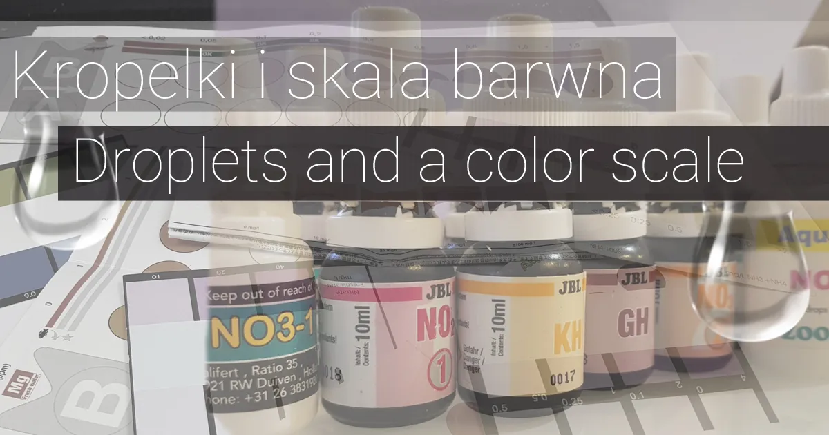 Zdjęcie Prostownik co oznacza skala – jak poprawnie interpretować odczyty?