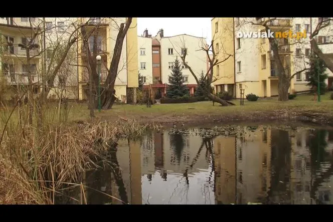 Zdjęcie Czy deweloper może oszukać? Sprawdź, jak uniknąć oszustw w nieruchomościach.