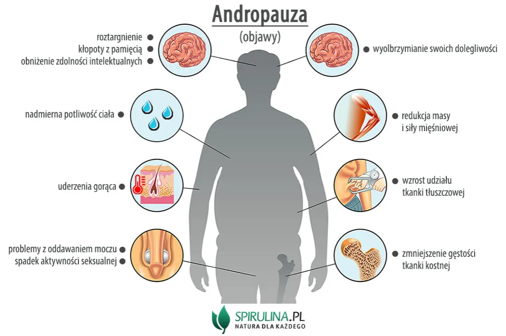 Zdjęcie Czy mężczyźni przechodzą menopauzę: poznaj prawdę o andropauzie i jej objawy