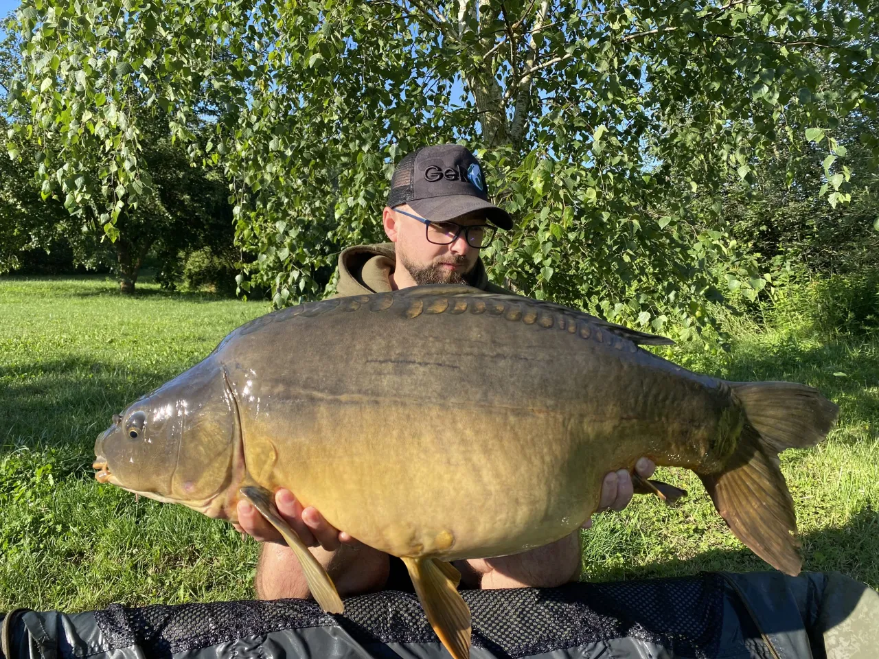Zdjęcie Czym się żywi karp? Sekrety diety karpia w naturze i hodowli