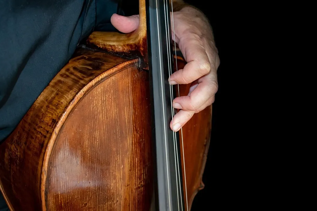 Zdjęcie Wszystko co musisz wiedzieć o tym ile strun ma kontrabas - kompletny opis