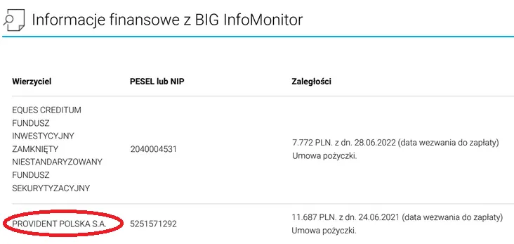 Zdjęcie Po jakim czasie Provident oddaje do windykacji? Sprawdź, co musisz wiedzieć