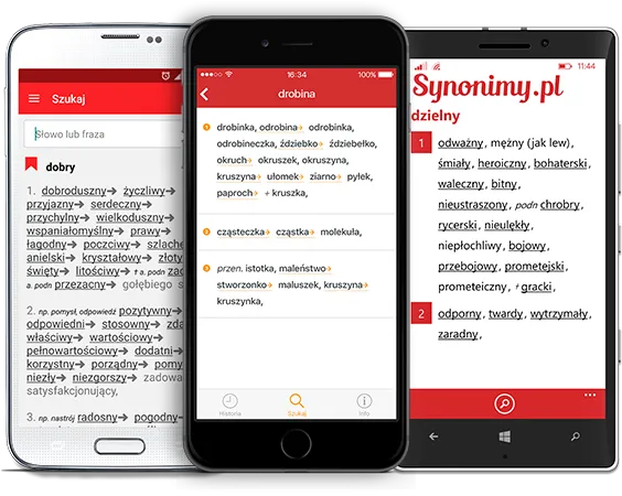 Zdjęcie Słownik synonim – znajdź idealne słowa i uniknij powtórzeń w pisaniu