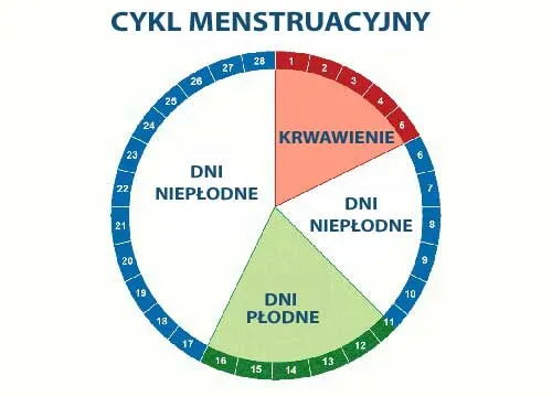 Zdjęcie Kiedy dni płodne po porodzie? Ważne informacje dla młodych mam