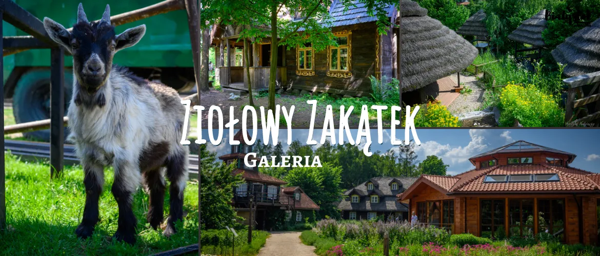 Zdjęcie Ziołowy Zakątek atrakcje – odkryj niezwykłe miejsca dla rodzin