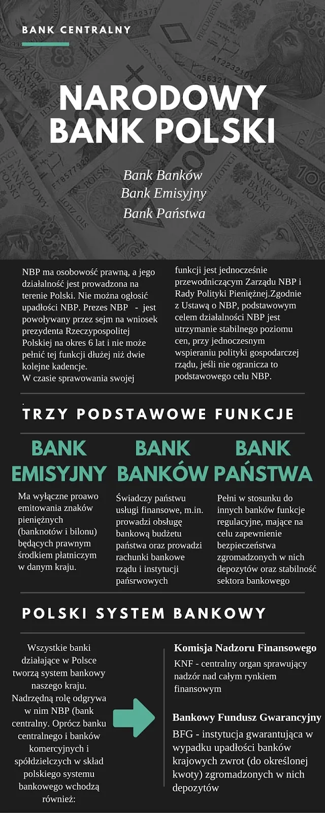 Zdjęcie Rola i znaczenie NBP w Polsce: kluczowe funkcje i wpływ
