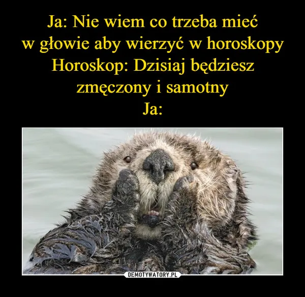 Zdjęcie Czy wierzyć w horoskopy? Naukowe fakty kontra popularność