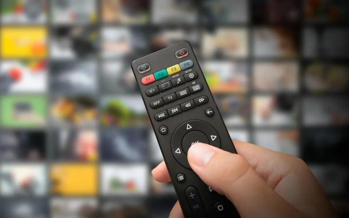 Zdjęcie Kto jest właścicielem telewizji Puls i jak wpłynął na jej rozwój?