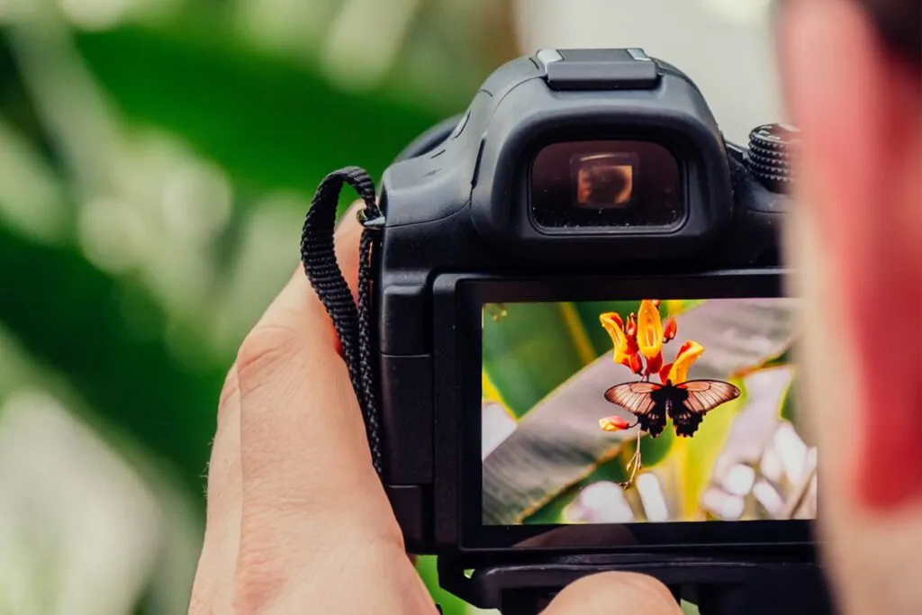Zdjęcie Ile kosztuje dobry aparat fotograficzny? Ceny i modele dla każdego budżetu