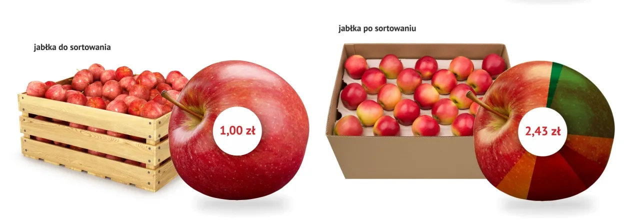 Zdjęcie Ile jabłek to kilogram? Poznaj dokładne przeliczniki owoców
