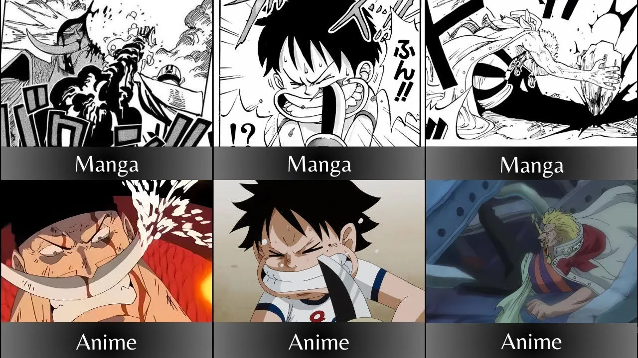 One Piece Manga vs Anime Vergleich