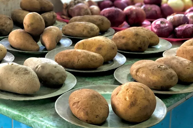 młode ziemniaki vs stare ziemniaki