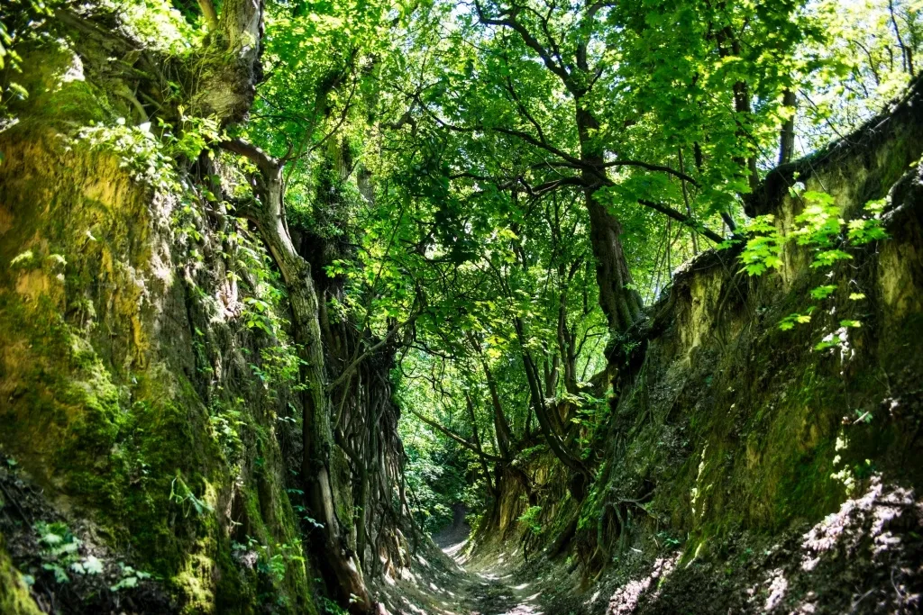 Wąwóz Królowej Jadwigi Sandomierz