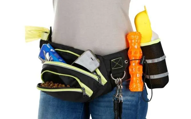 Akcesoria do szkolenia psa w domu