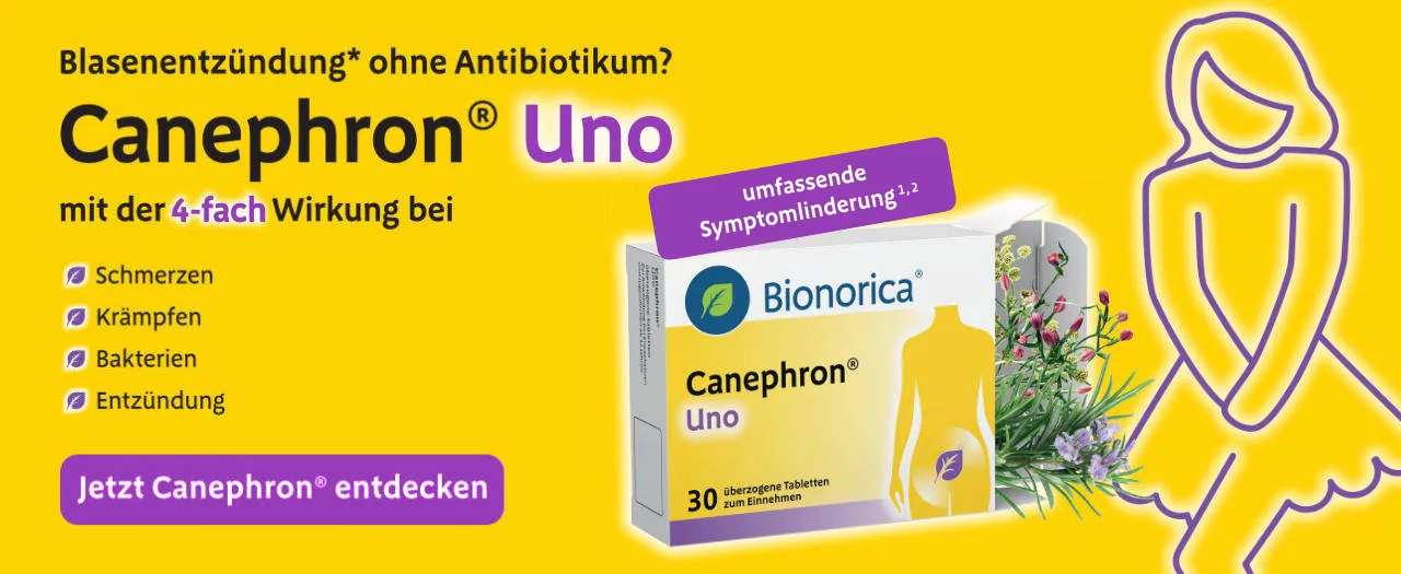 Pflanzliche Medikamente Blasenentzündung
