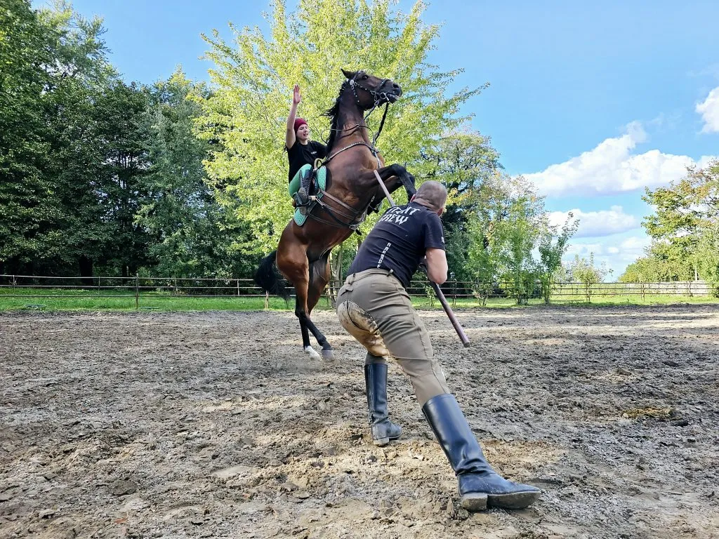 szkolenie kaskaderskie w Polsce