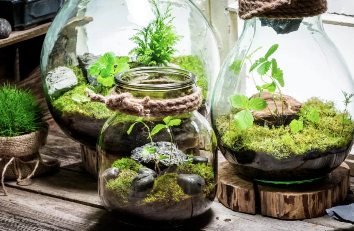 Grawerowany las w słoiku, personalizowane dodatki do lasu w słoiku