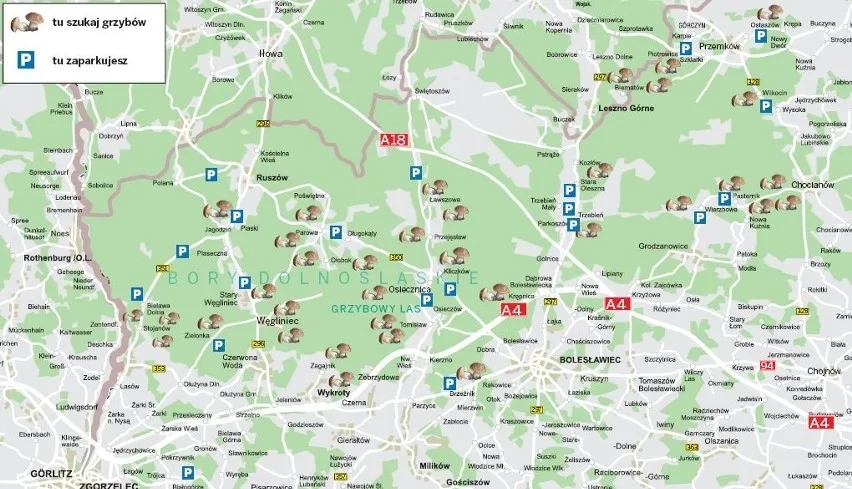 Mapa Puszczy Bukowej z miejscami na grzyby