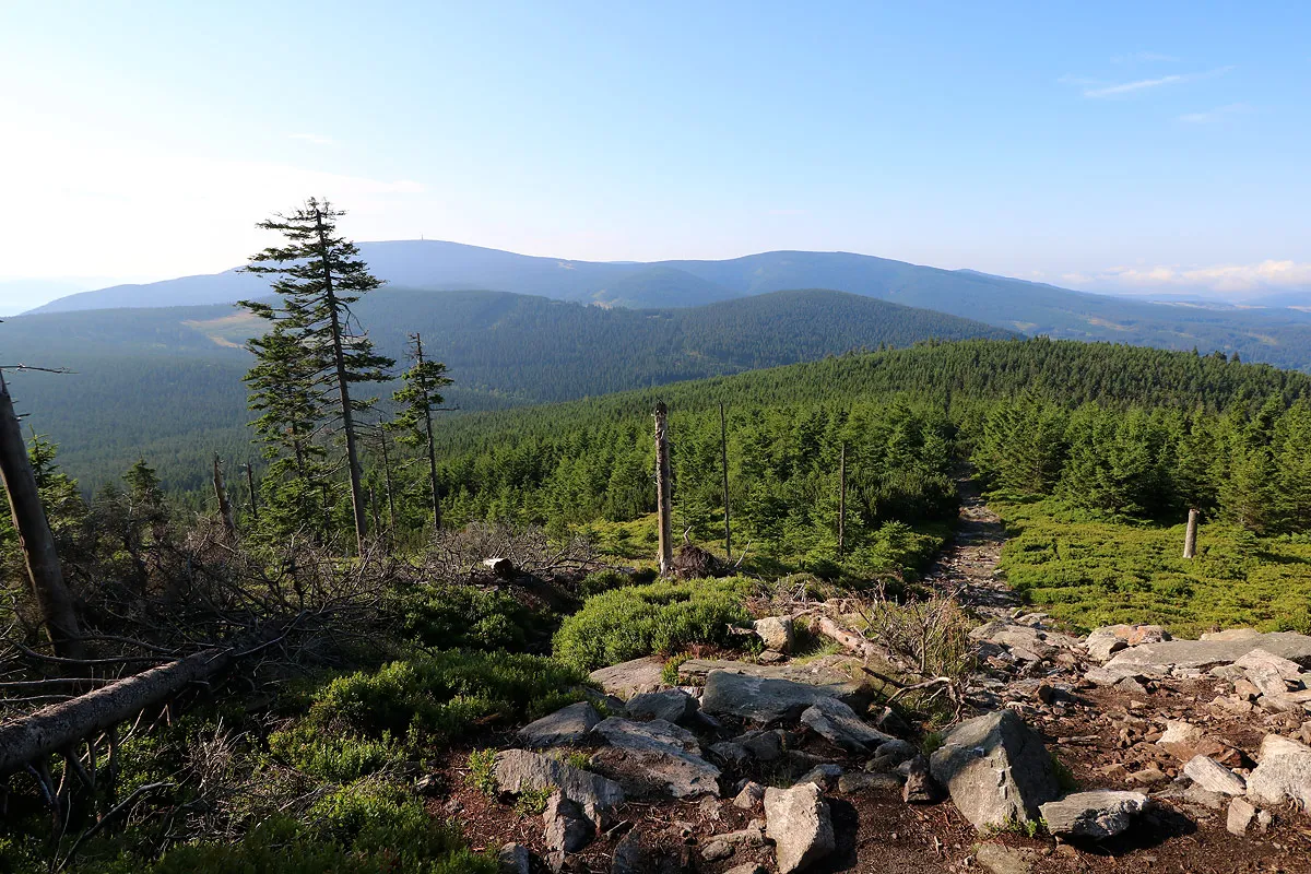 Śnieżnik szlak czerwony z Międzygórza widoki