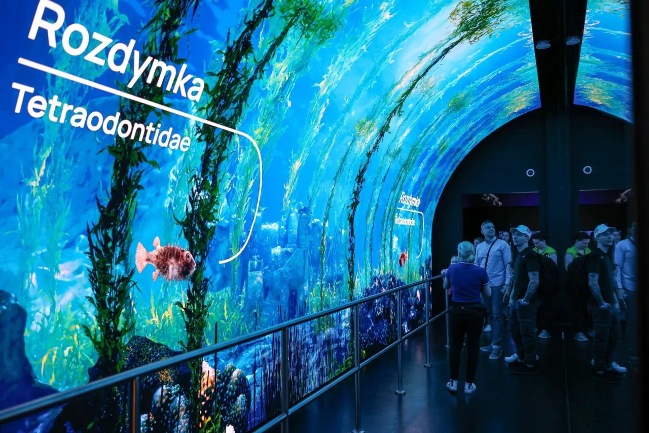 Oceanarium Szczecin Muzeum Narodowe wystawa