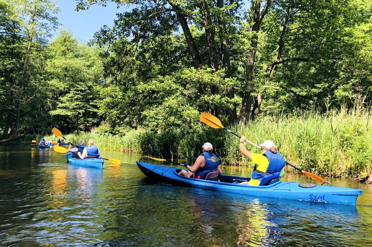 kajaki August&oacute;w rzeki por&oacute;wnanie