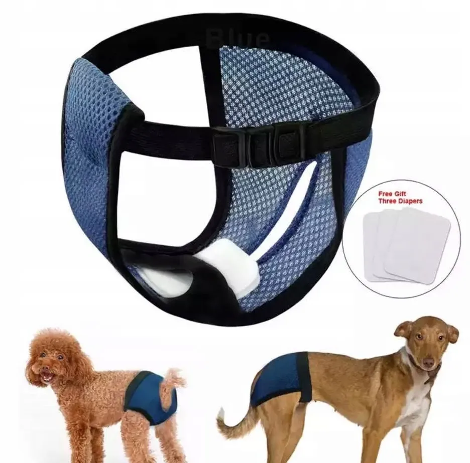 majtki na cieczkę dla psa owczarek niemiecki