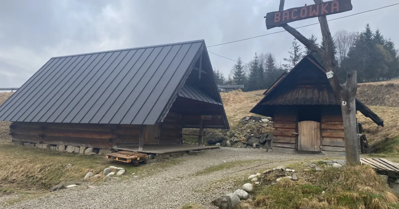 Bacówka w Tatrach, owce, baca w Bukowinie Tatrzańskiej