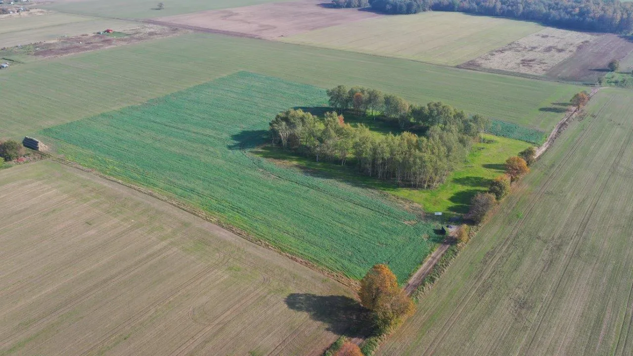Zdjęcie Jakie odszkodowanie za przekopanie działki - uniknij strat i kłopotów