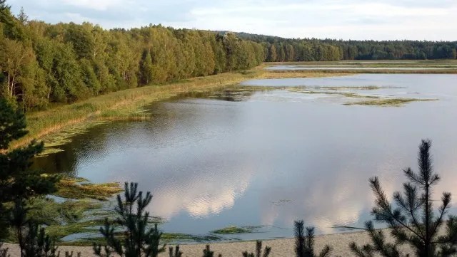 Zdjęcie Myszków atrakcje: Odkryj niezwykłe miejsca, które musisz zobaczyć