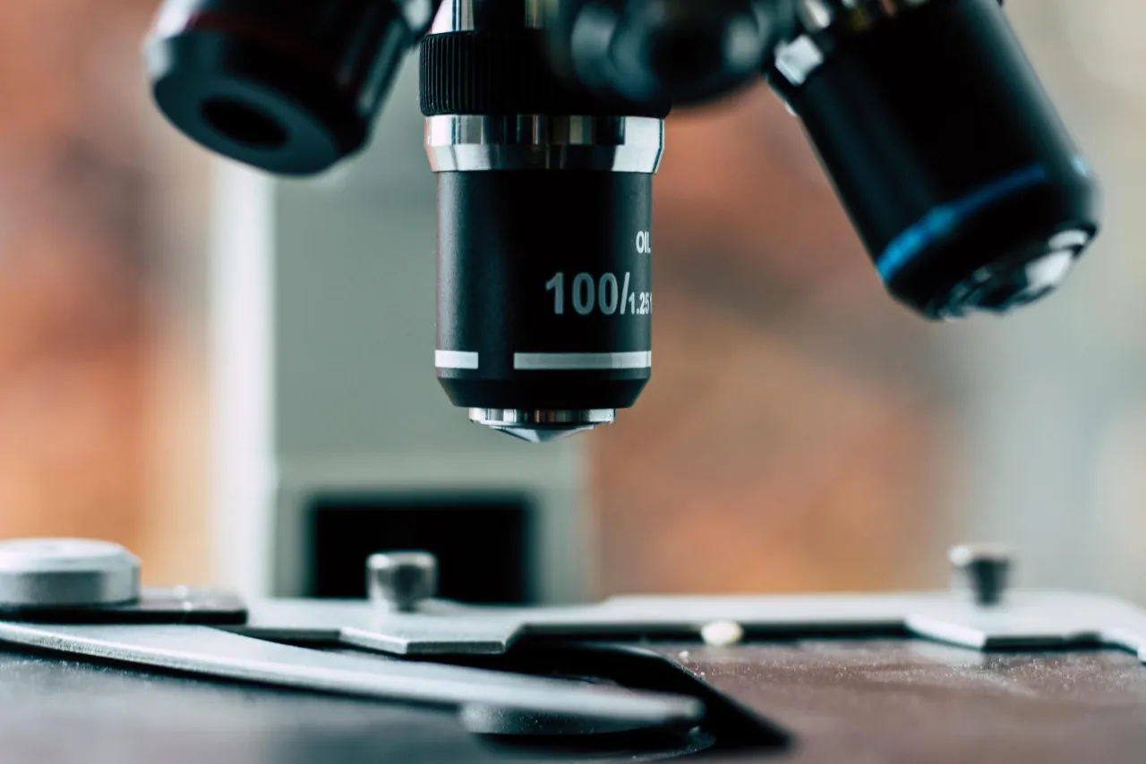 Zdjęcie Jakie są dziedziny biologii? Odkryj fascynujące gałęzie tej nauki