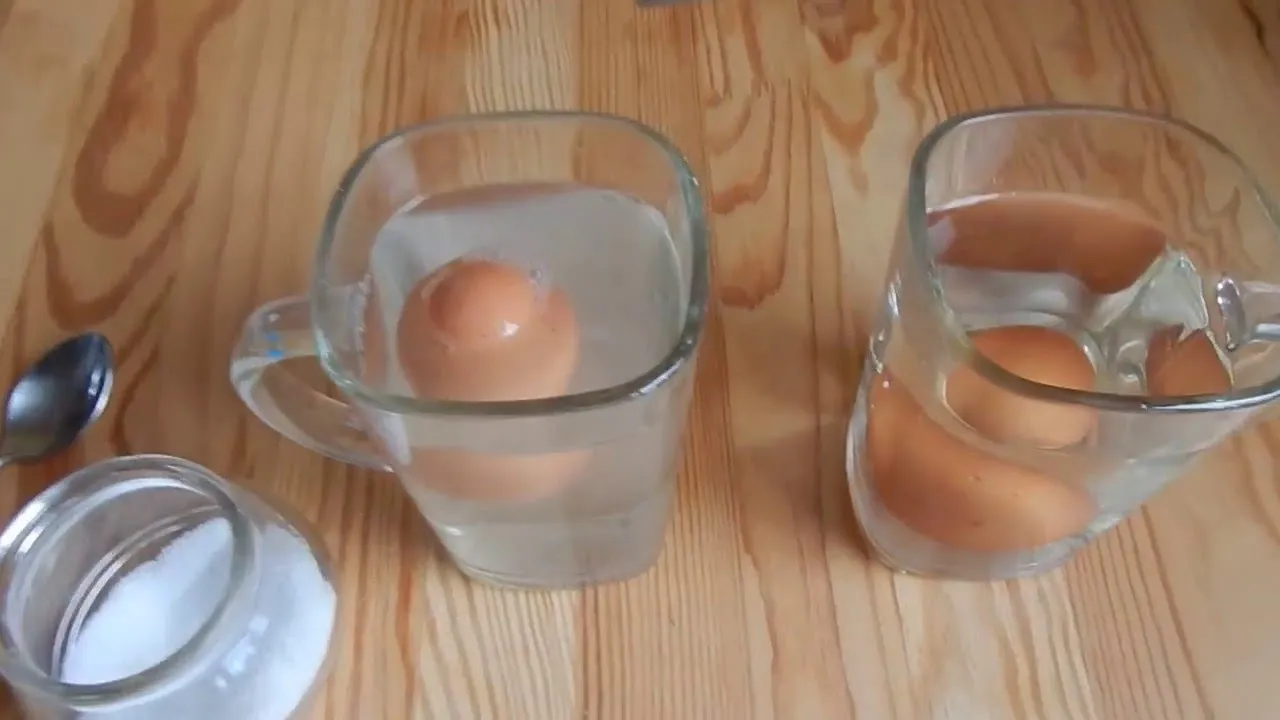 Eksperyment jajko w słonej wodzie instrukcja