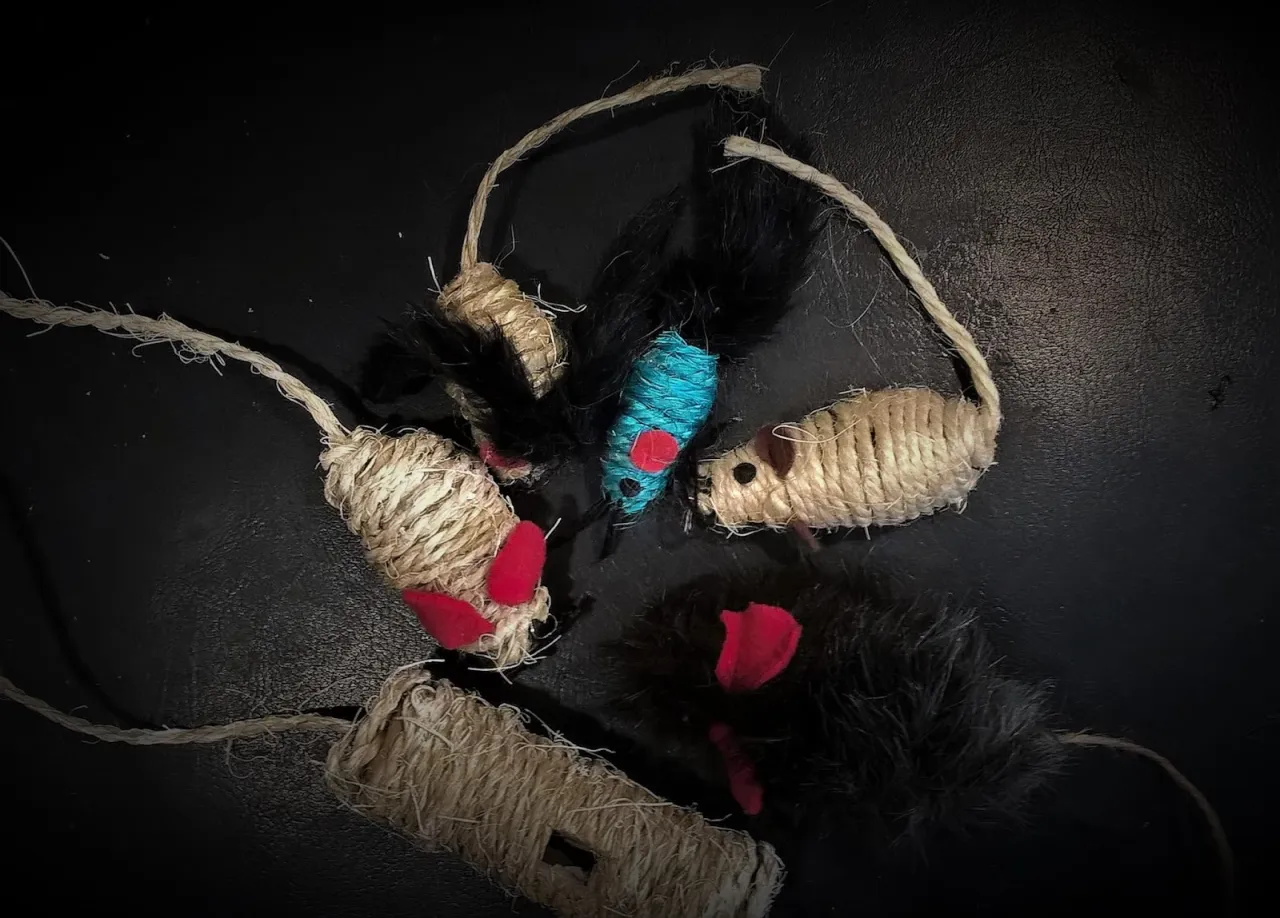 Niebezpieczne materiały dla kota zabawki