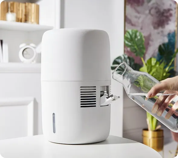 nawilżacz powietrza dla alergika