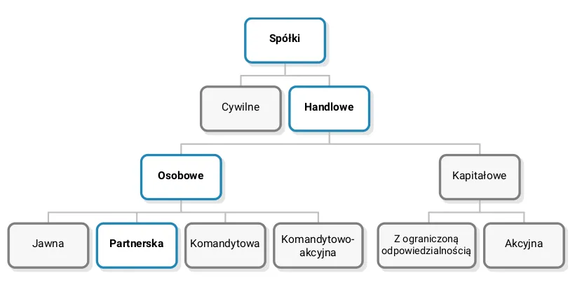 wolne zawody spółka partnerska