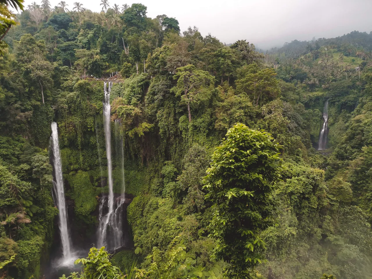 Bali pora deszczowa wodospad zieleń