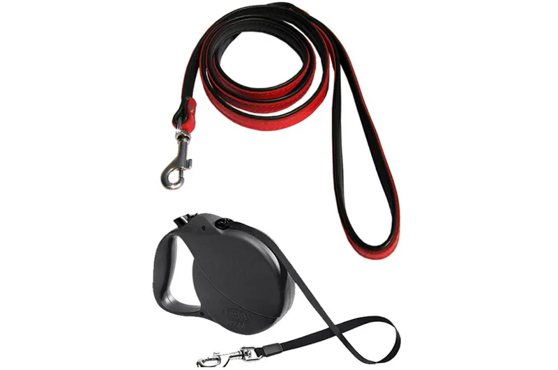 różne rodzaje smyczy dla szczeniaka