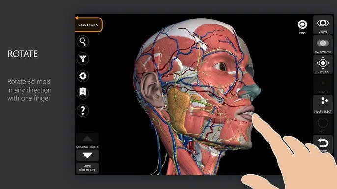 aplikacja 3D anatomia na tablecie
