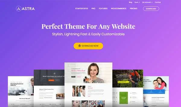 Motywy WordPress dla początkujących