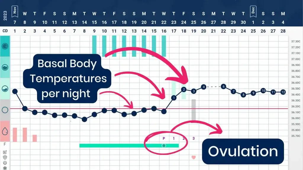 wykres podstawowej temperatury ciała owulacja