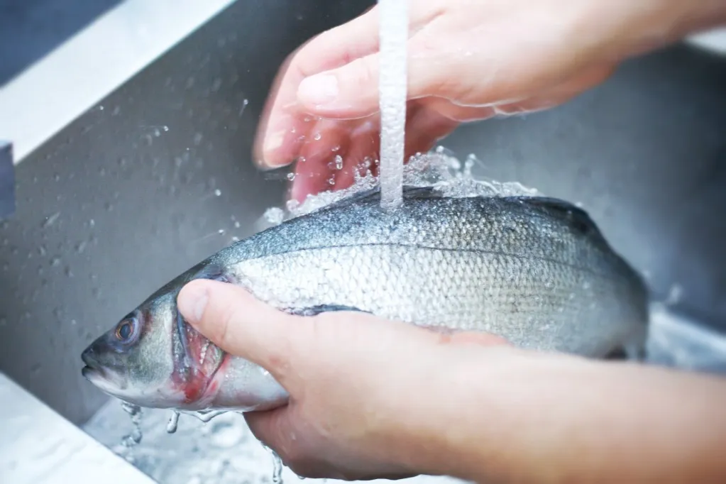 jak patroszyć rybę instrukcja