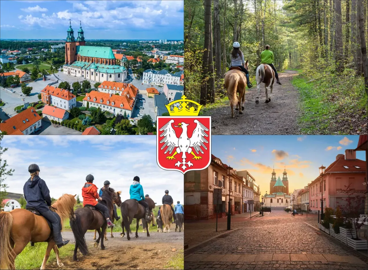 Cennik jazda konna Gniezno