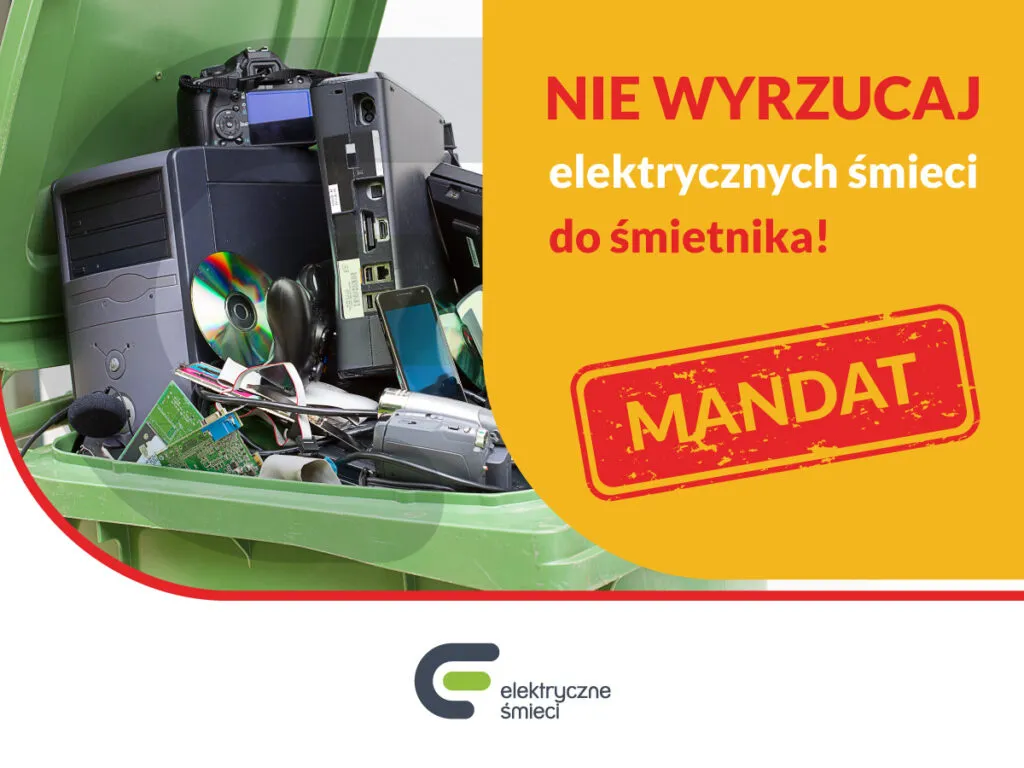 nielegalne wyrzucanie elektrośmieci, kara za śmiecenie