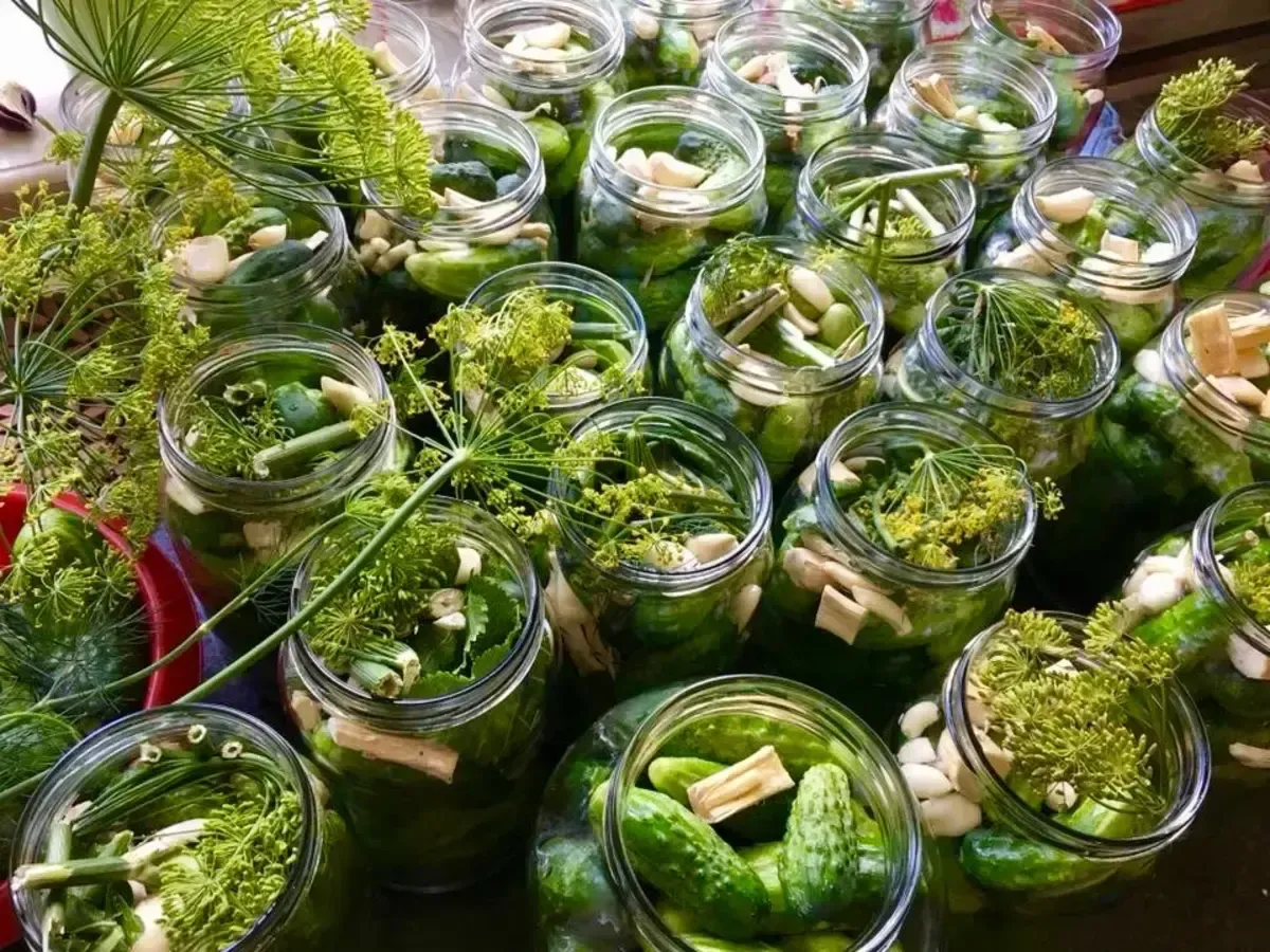 świeże ogórki gruntowe i słoiki z kiszonymi