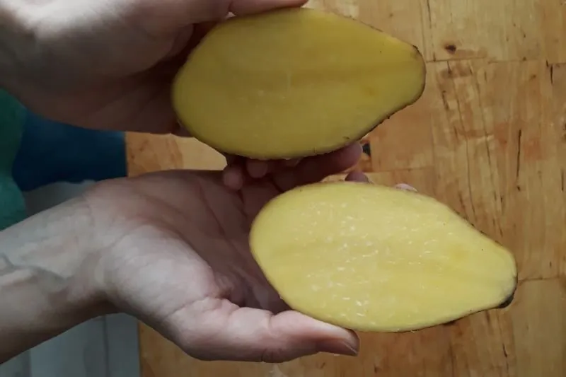 Test ziemniak&oacute;w na skrobię pocieranie