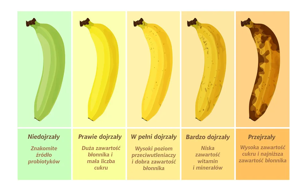 Zdjęcie Ile kalorii ma banan? Kaloryczność, IG i wpływ na Twoją dietę