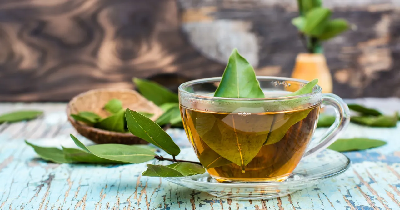 jak wygląda herbata z liści laurowych, gotowy napar